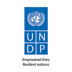 UNDP logo