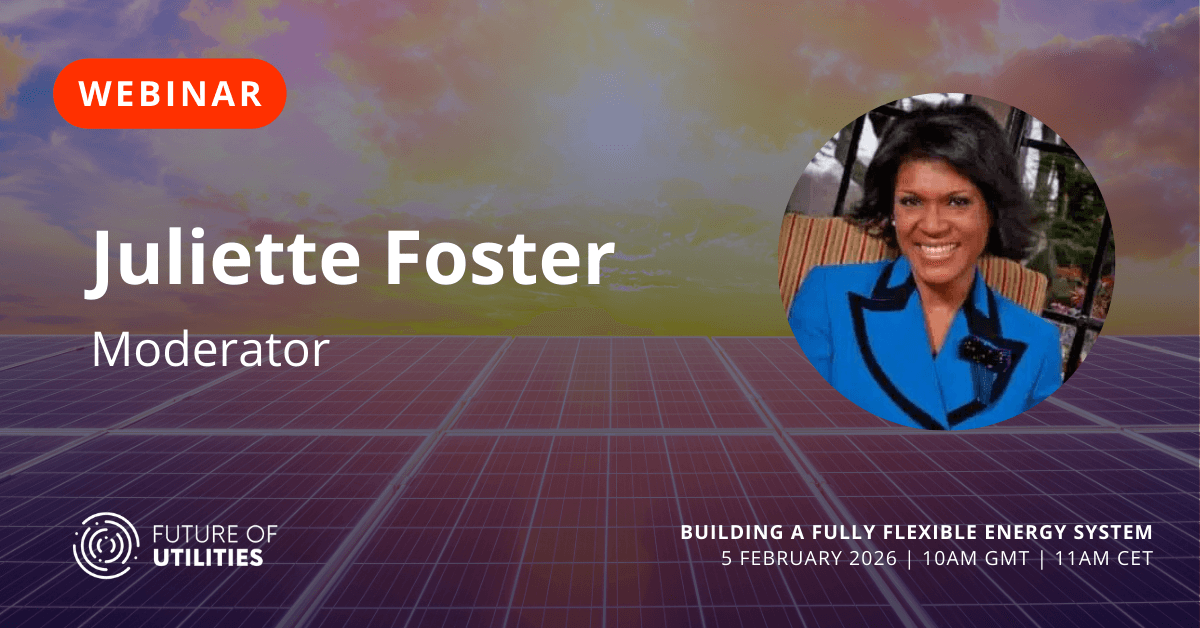 Webinar: Building a Fully Flexible Energy System