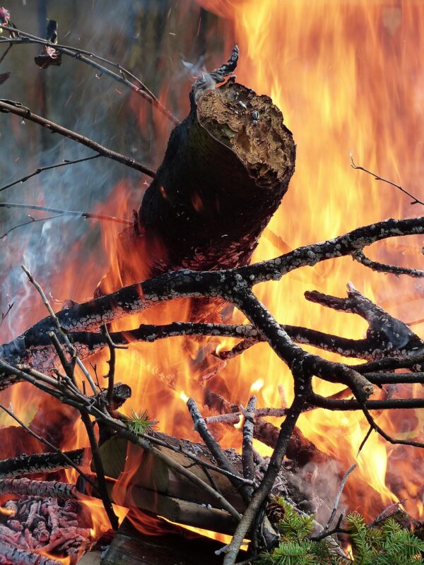 forest fire