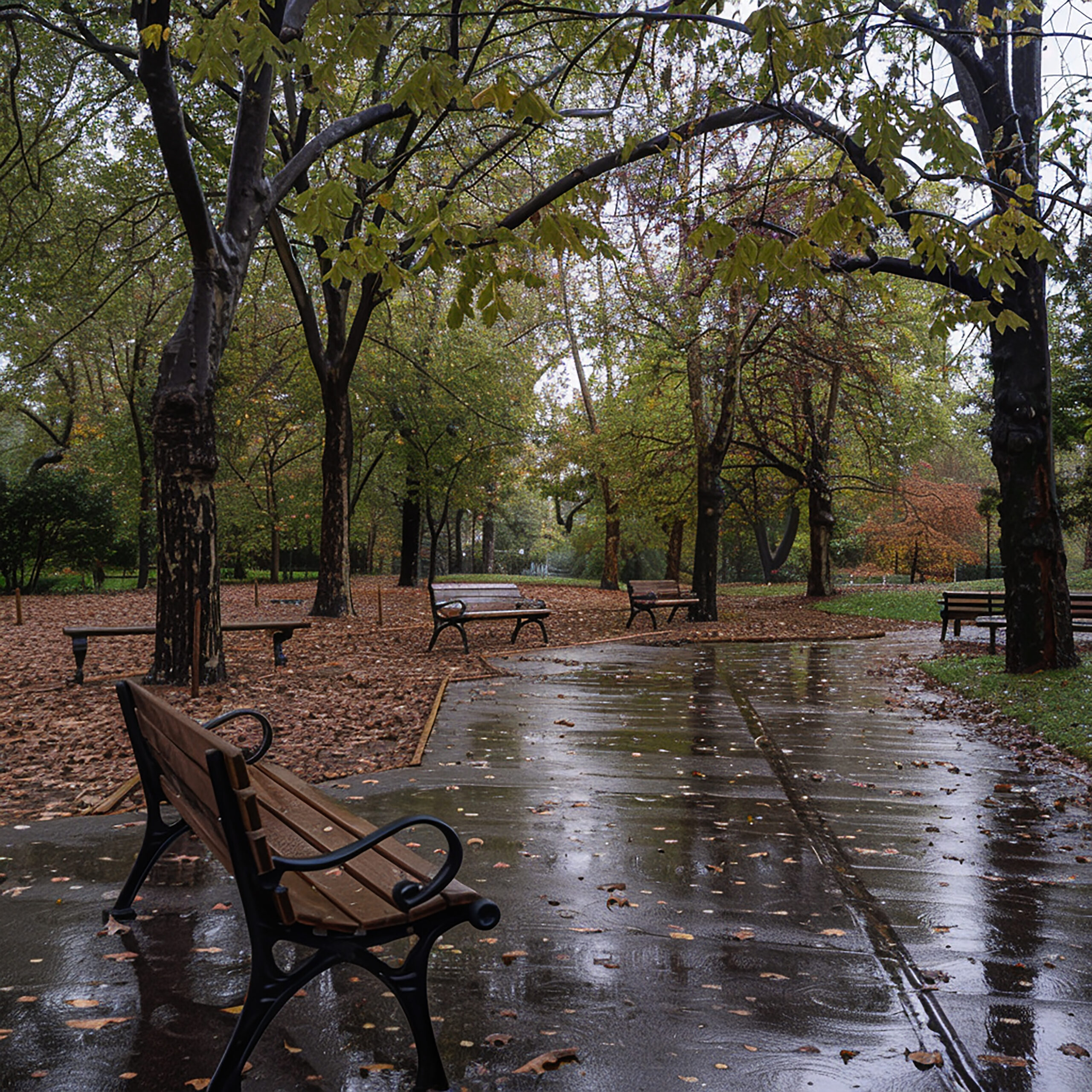 tranquil park landscape nature scene peaceful